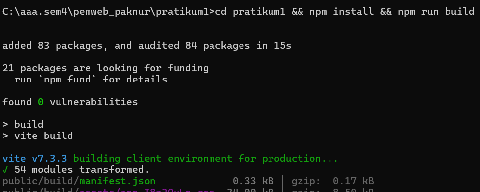 npm build